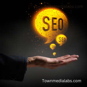  SEO Services in Punjab