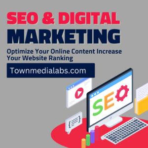 Best SEO Services in Punjab